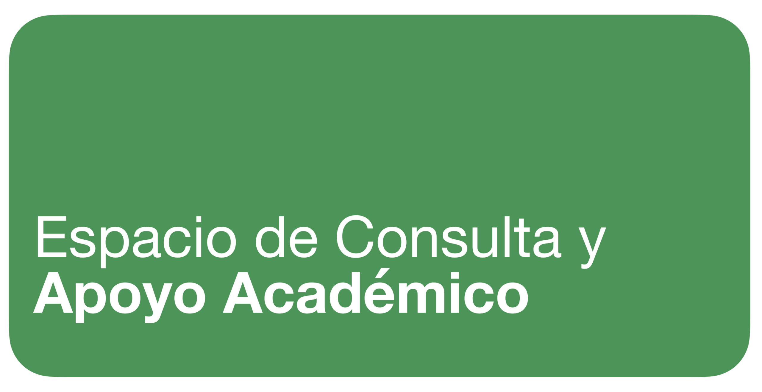 APOYO ACADEMICO