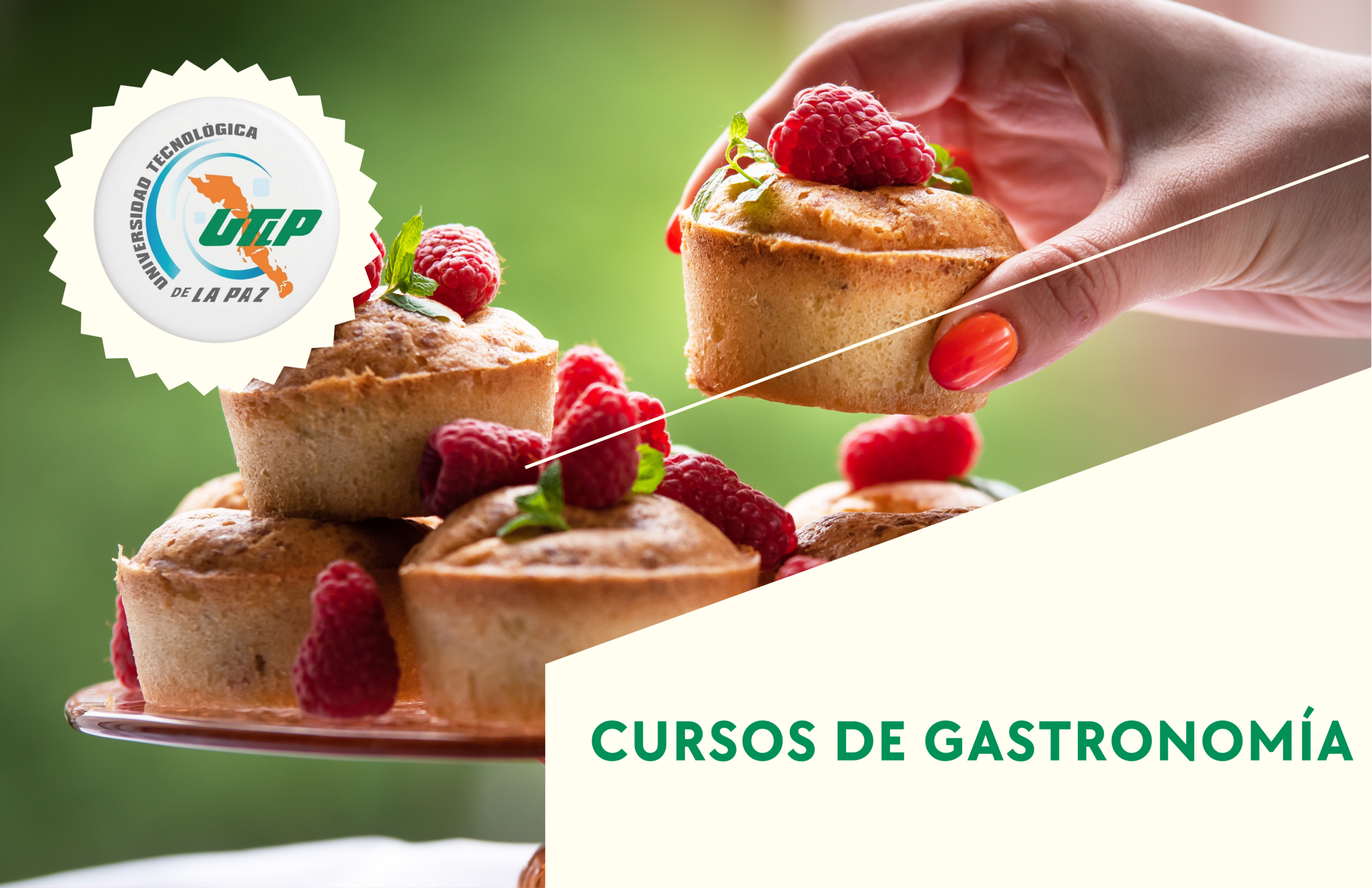 gastro