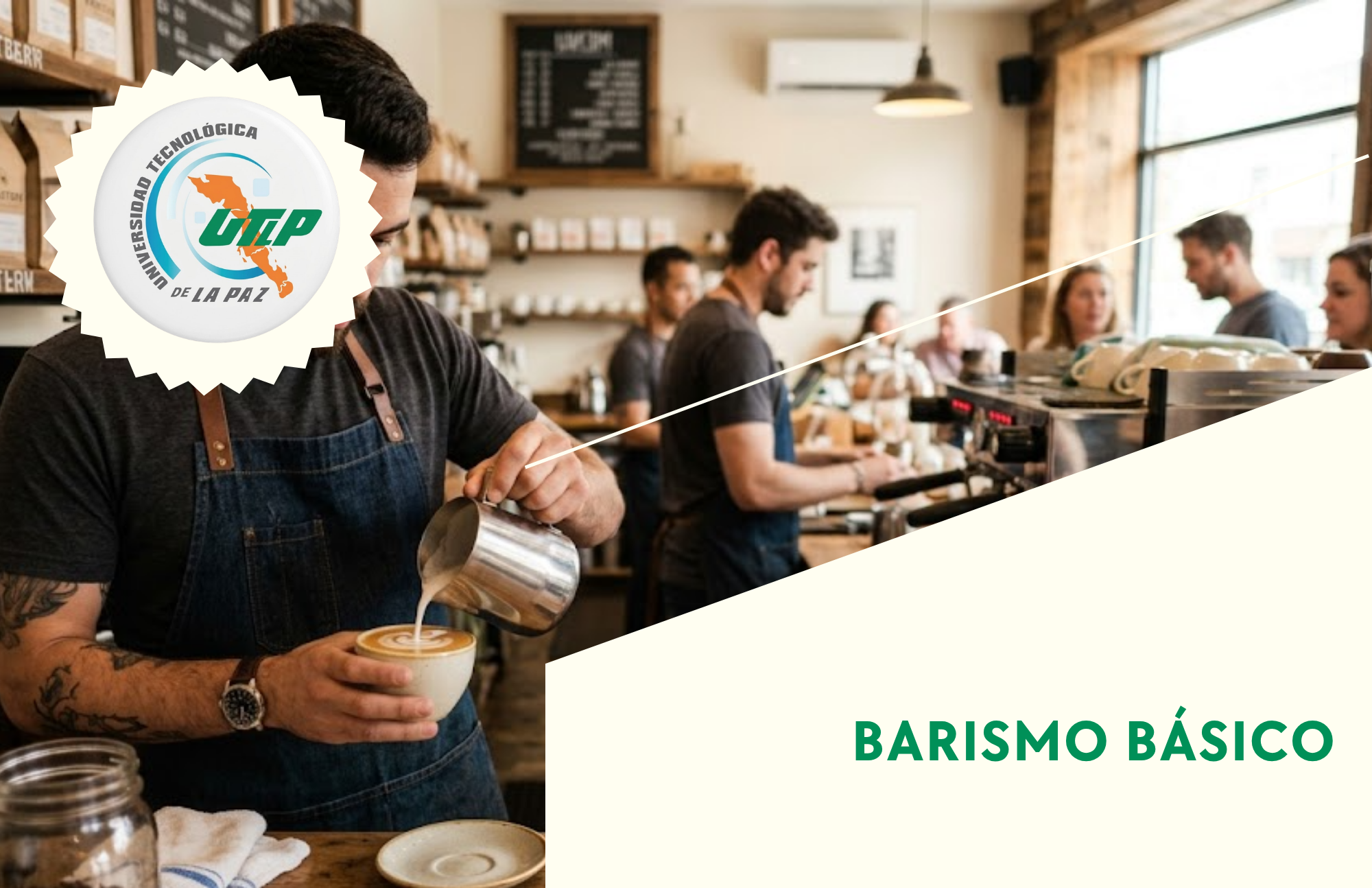 BARISMO BÁSICO