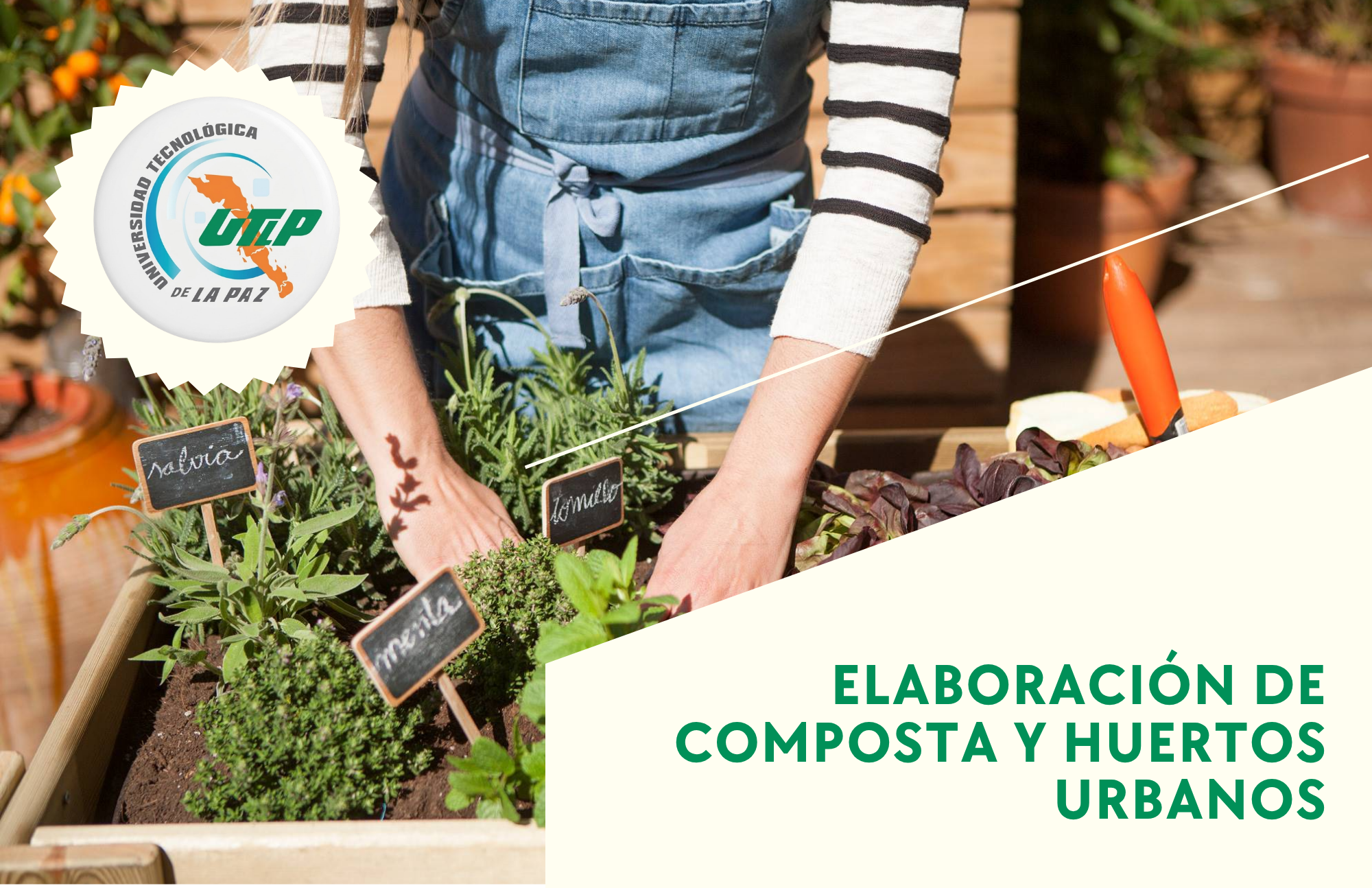 composta